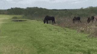 笑死了，女朋友说她昨晚游泳去了，这晒痕就是最好的证明