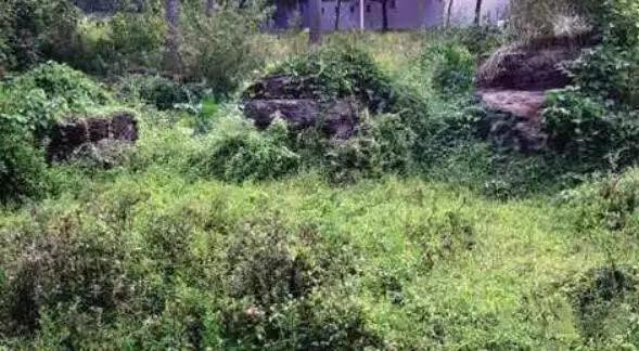 洛阳铲发现殷墟,洛阳市考古发现