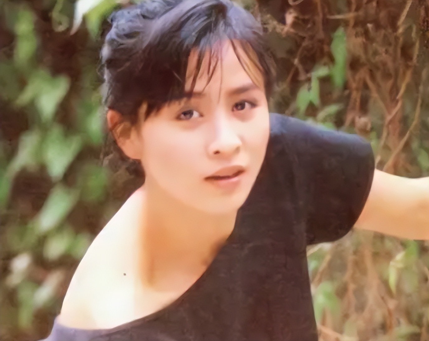 鐜嬫澃鍒樺痉鍗庡垬鍢夌幉,鐜嬫澃鏇惧織浼熷垬鍢夌幉