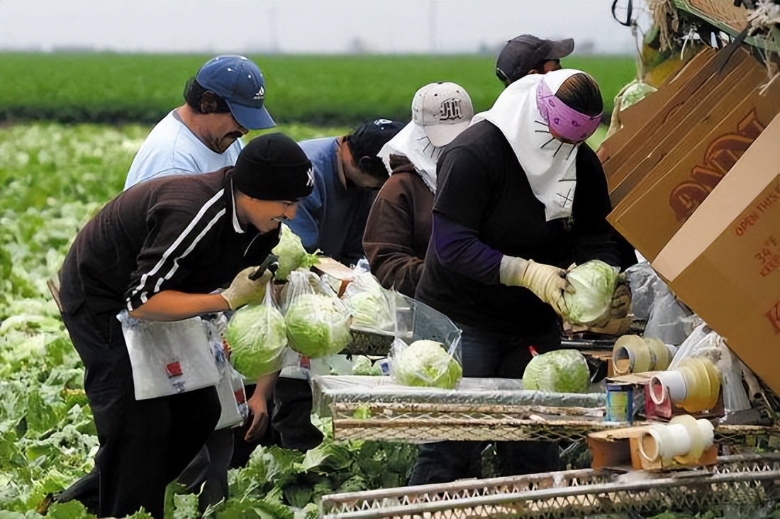 美国猪肉真的有危险吗,美国猪肉健康吗