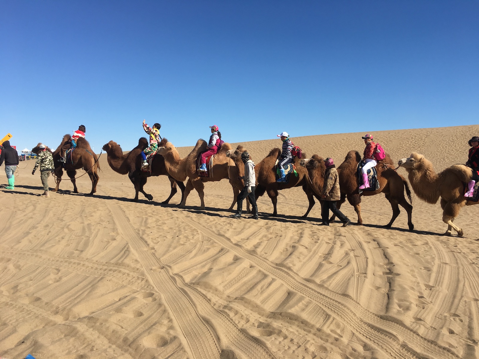 北京自驾额济纳胡杨林十天攻略,从北京到额济纳胡杨林线路
