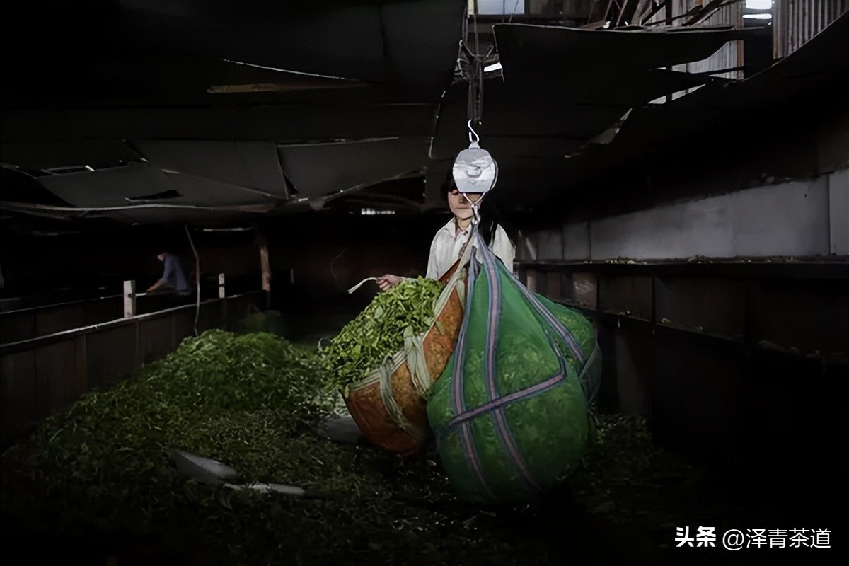 2022年茶行业未来发展与前景,未来十年茶行业的发展机会