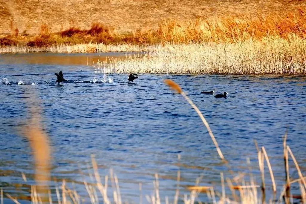 房山冬季带孩子游玩好去处,房山带娃游玩的好去处
