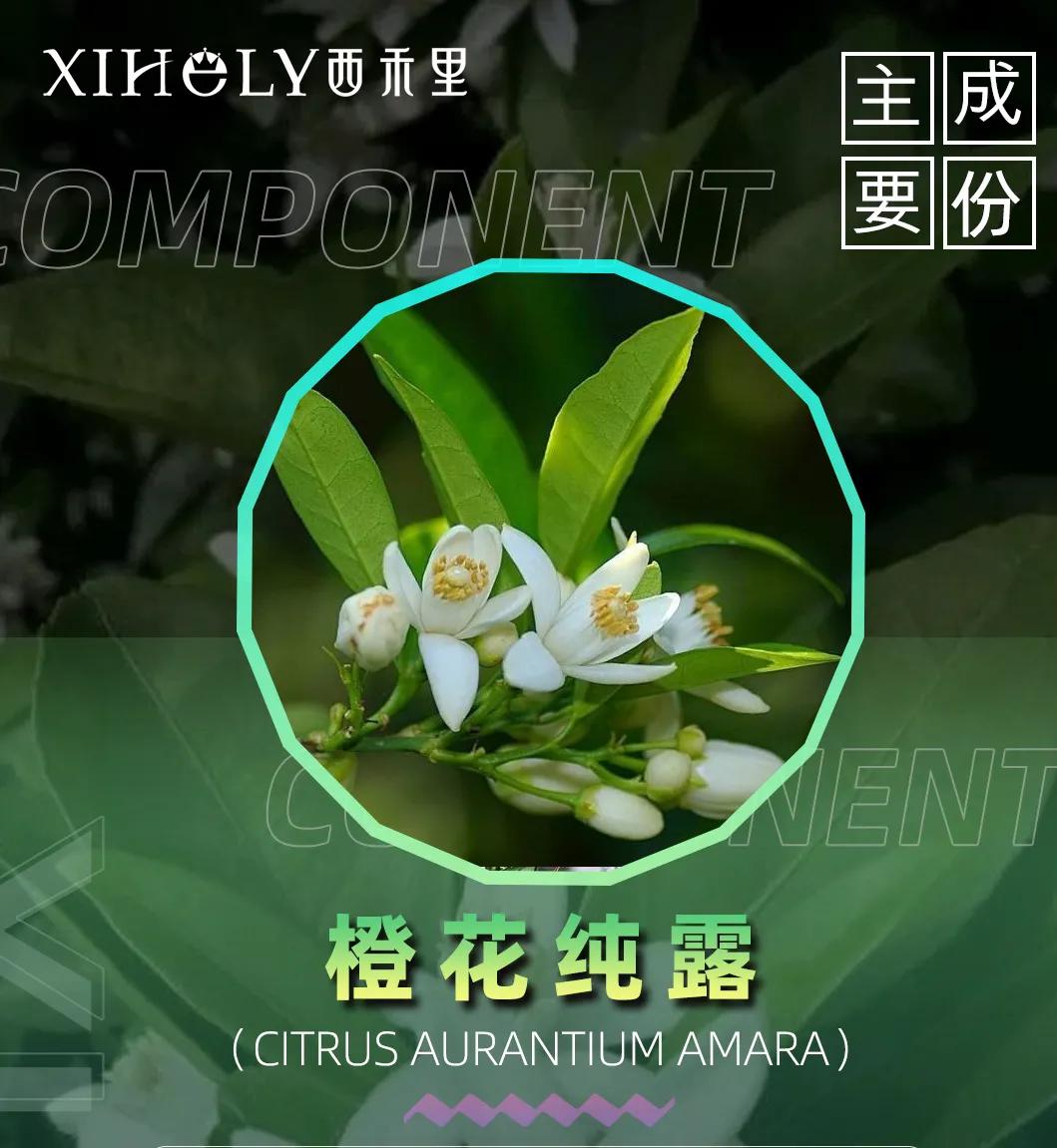 西禾里至臻玫瑰极光养肤成分表,揭露美白真相