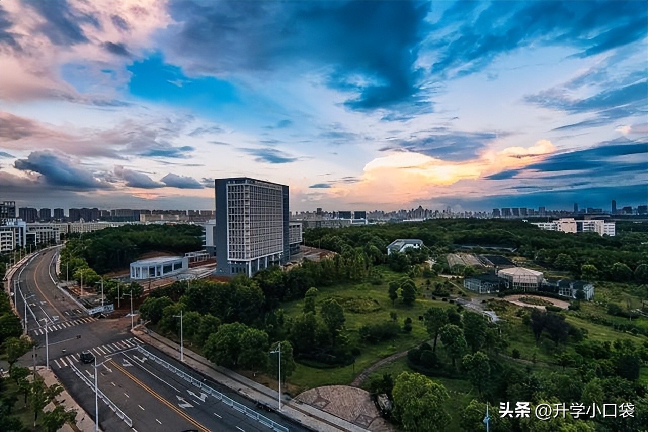 南昌大学往届本科生就业去向，3000人选择升学，1300多人被保研