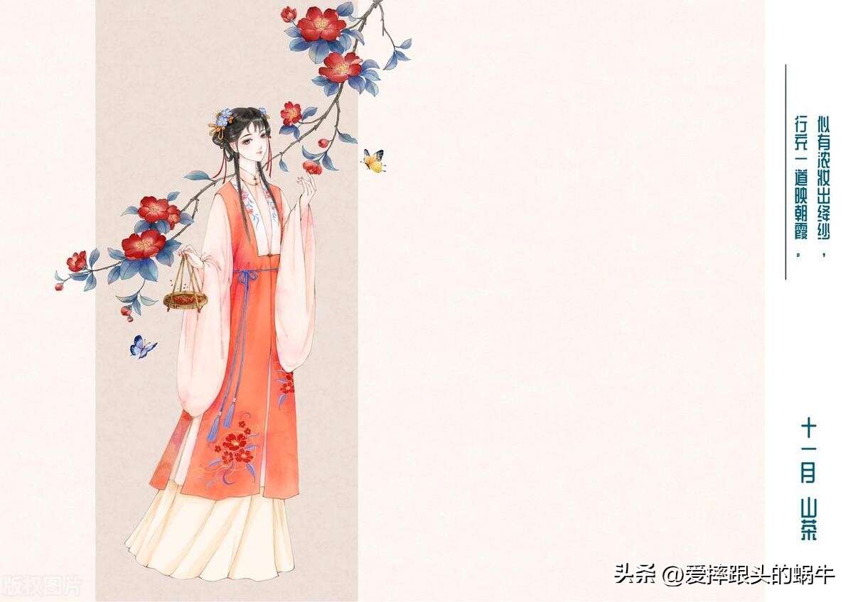 十二花神图谱完整版,工笔画十二花神欣赏