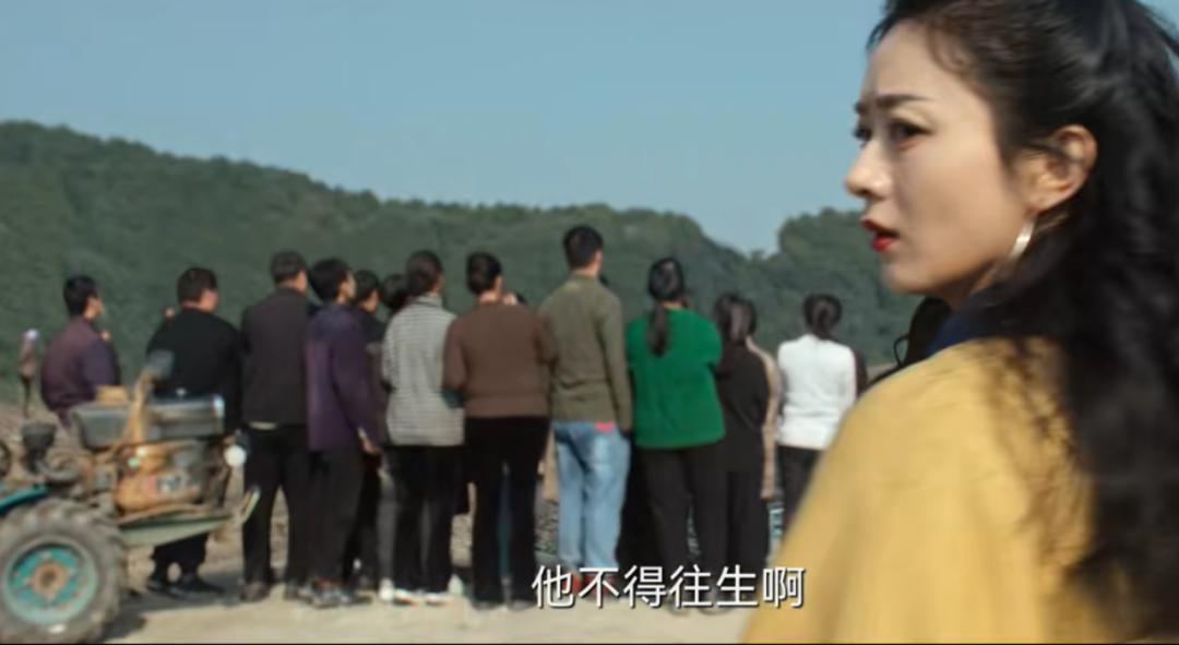 风吹半夏中隐藏的创业秘密,风吹半夏创业之路