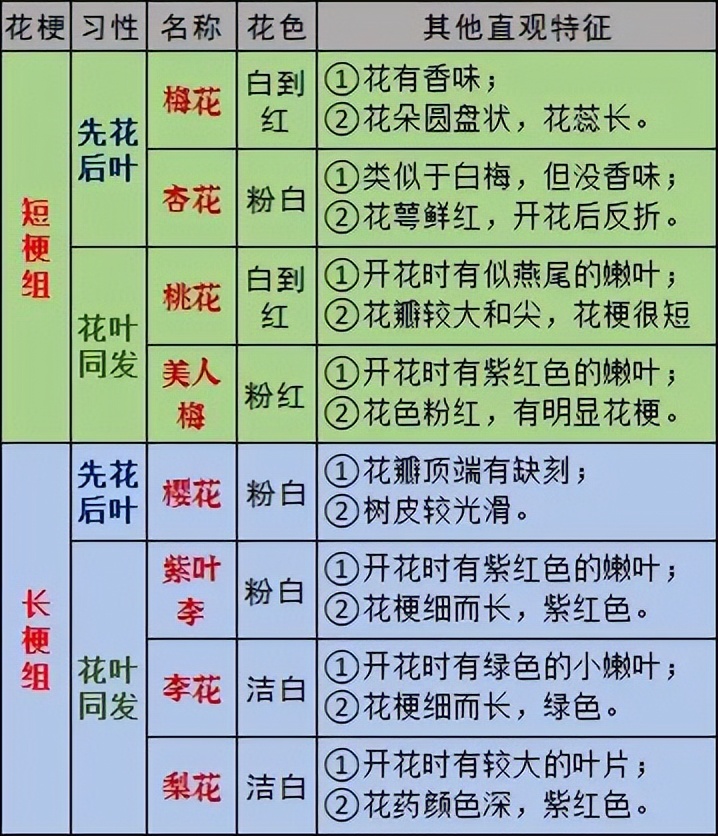 九种春花辨别,常见春花极简识别法