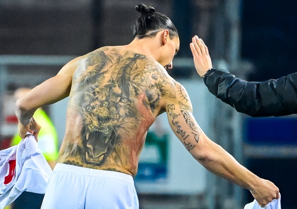 伊布告别仪式天下足球,天下足球十大催泪解说伊布