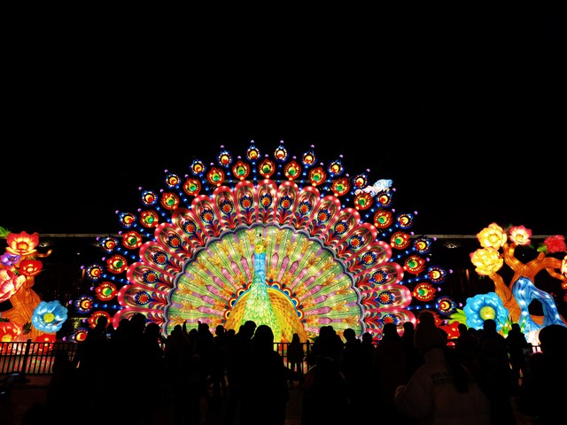 新春国潮花灯展,贺新春花灯欣赏