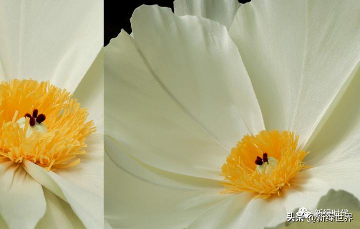 纸艺作品绘画,千变万化的纸艺术作品