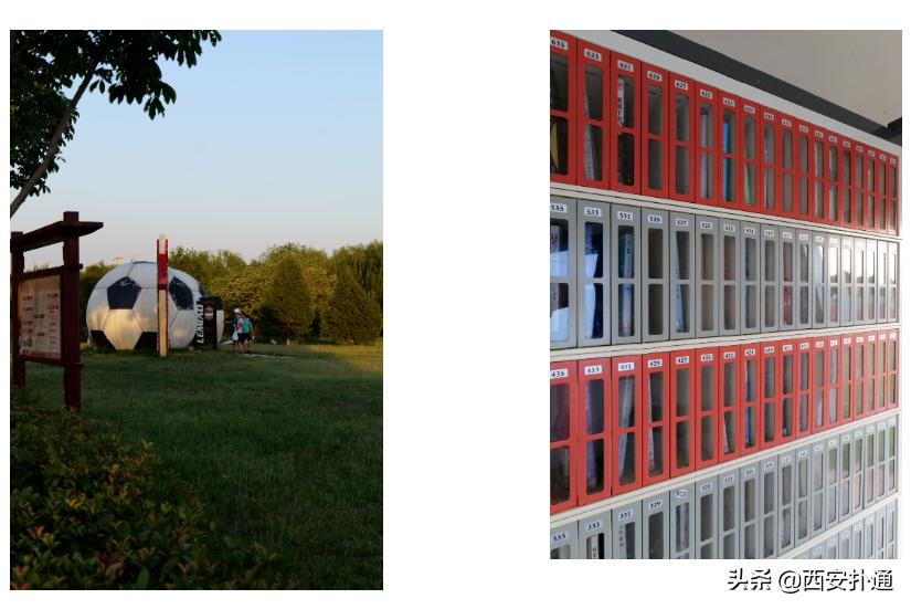 西安最大花海公园,西安周边的自然景观公园