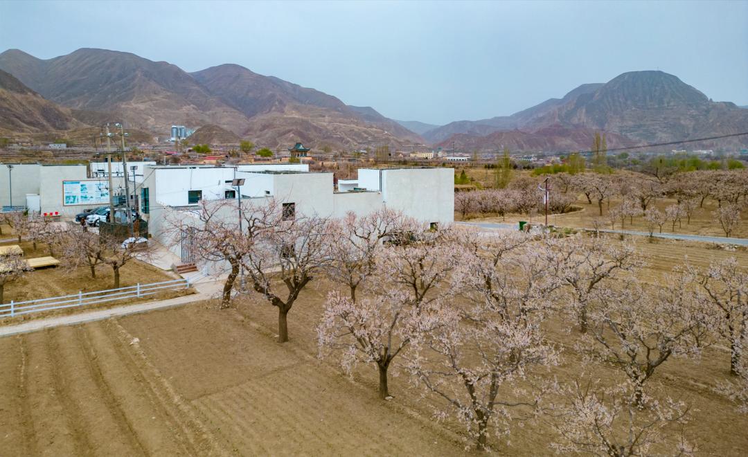错峰出行去临夏游玩,临夏市旅游攻略一日游