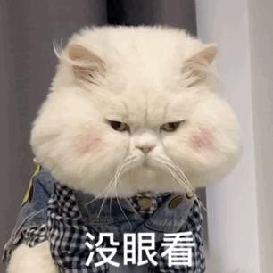 win11无法更新系统保留的分区,win11提示设备安全性页面不可用