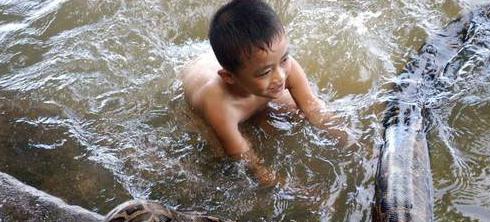 96年海南巨蟒为报恩甘愿当保姆,巨蟒为报恩守护十几年