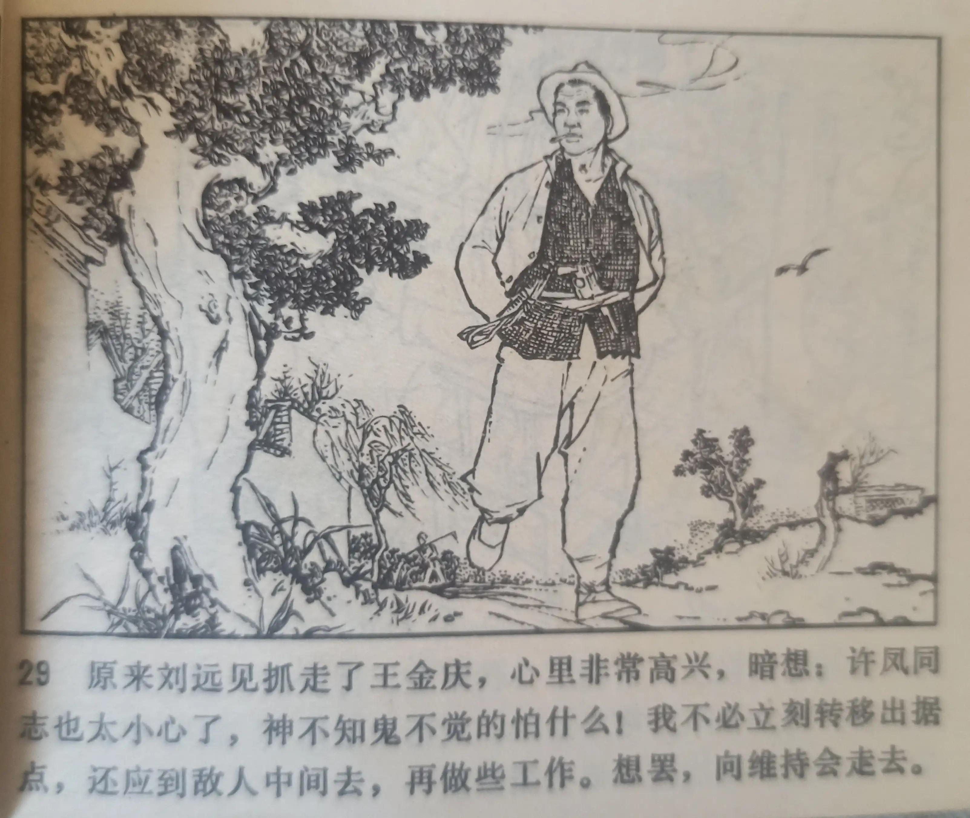 连环画战斗的青春全集,连环画青春的画面