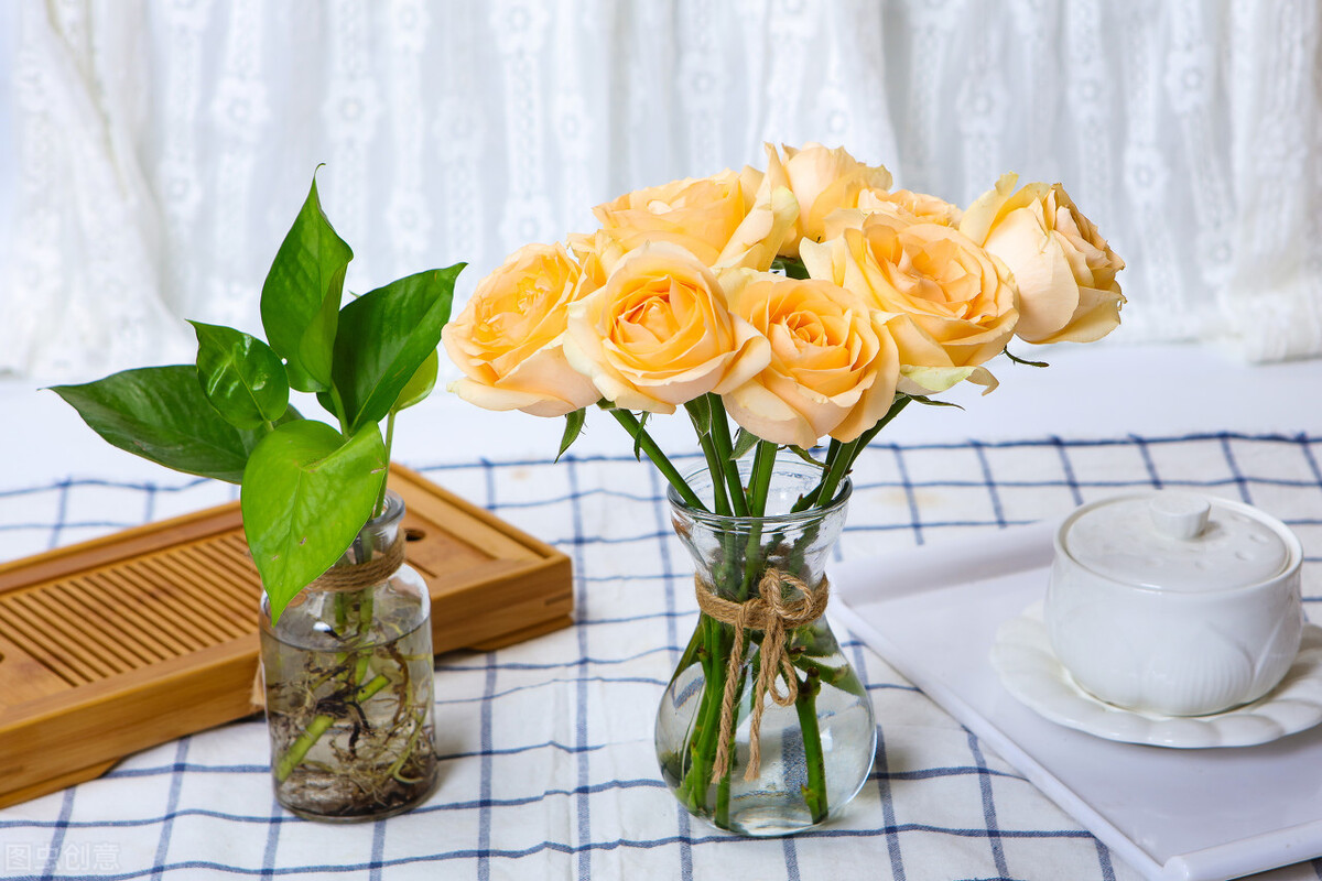 一朵白色玫瑰花的花语是什么,粉色玫瑰花和粉色绣球花花语