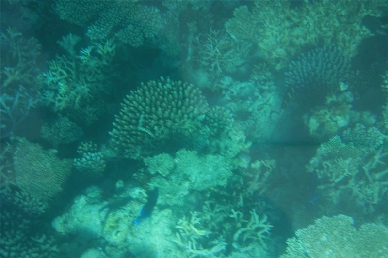 马尔代夫蜜月免费项目,蜜月旅游去马尔代夫哪个岛屿最好