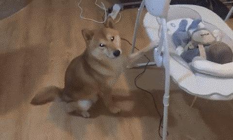 有趣又搞笑的动图,搞笑动图大杂烩