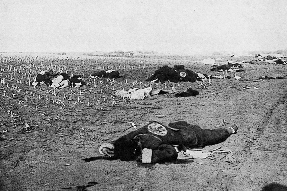 鏃ュ啗鍏借褰╄壊鐓х墖,渚靛崕鏃ュ啗鍏借缁濈増鐓х墖