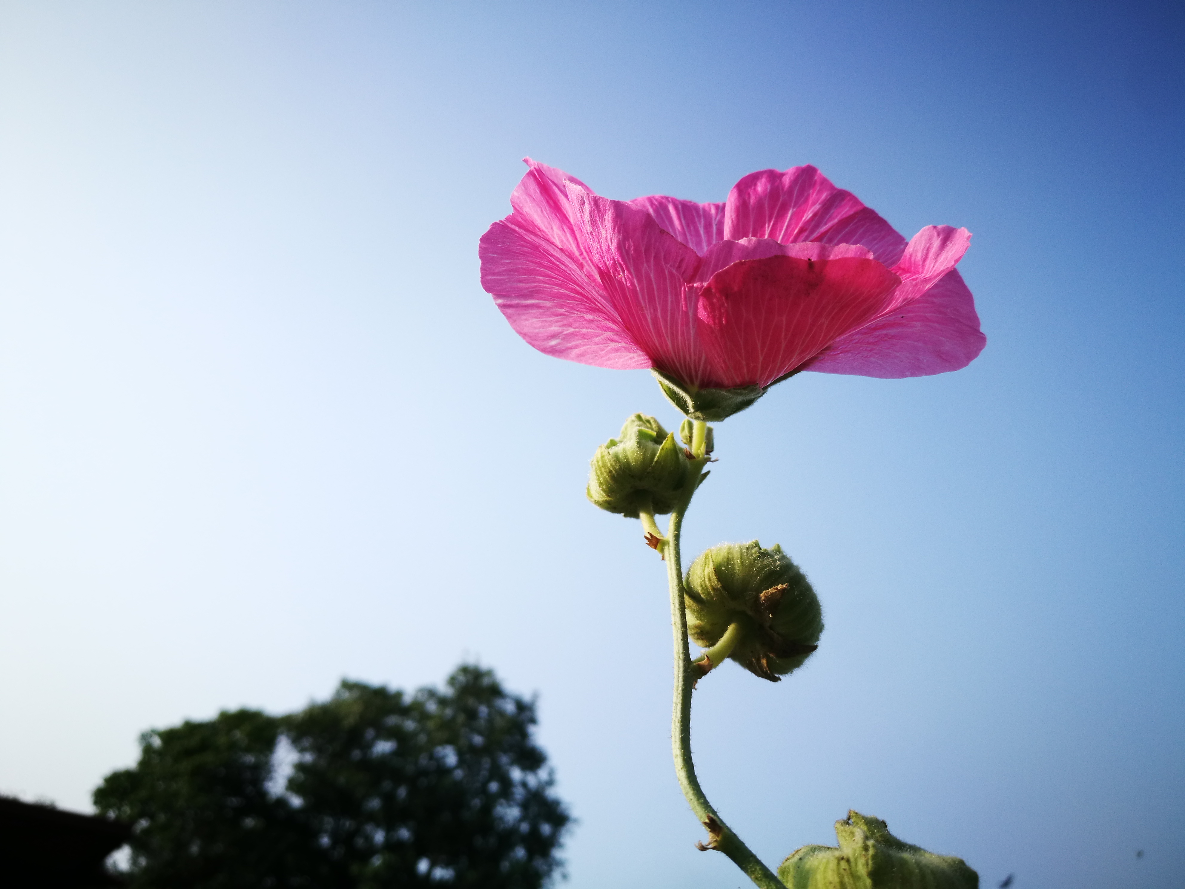 孔明的著作大全,孔明的散文
