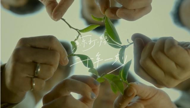 2012苏打绿小巨蛋演唱会歌单,2012苏打绿演唱会歌单