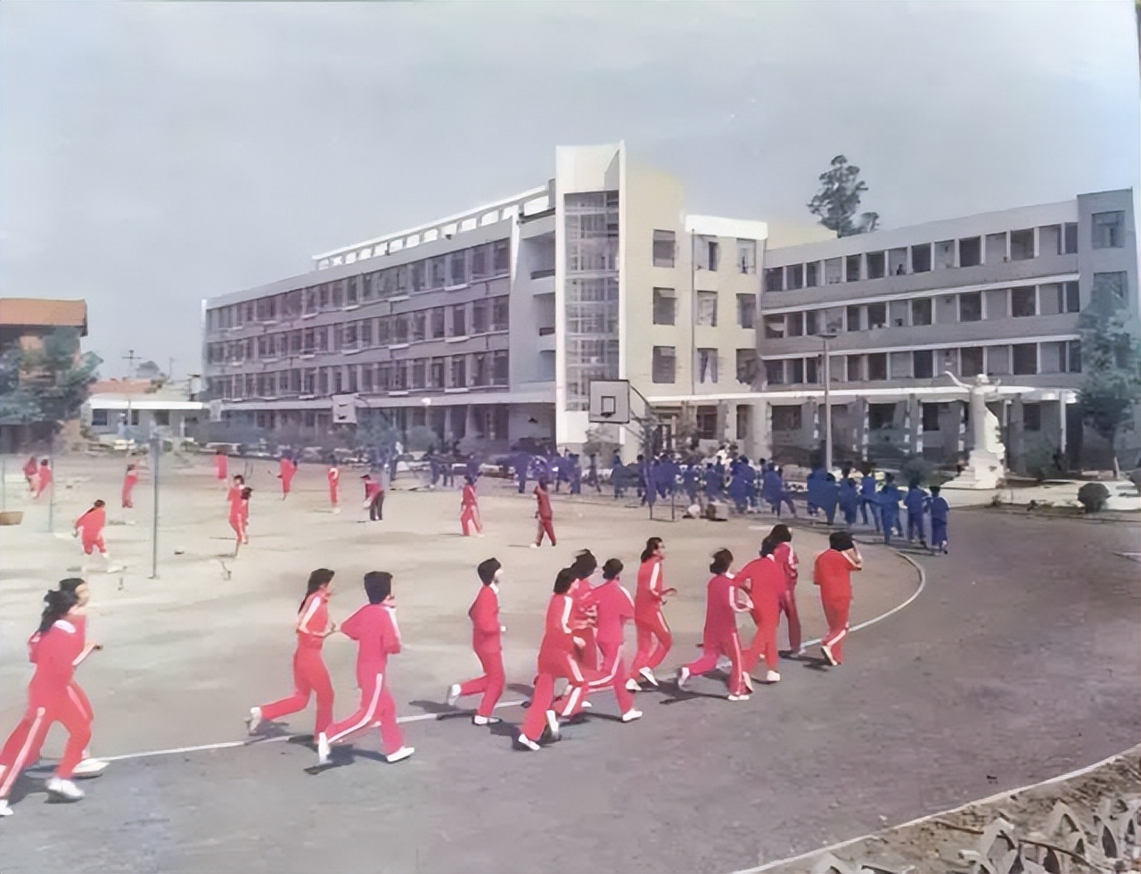 港剧那些年追过的剧,好港