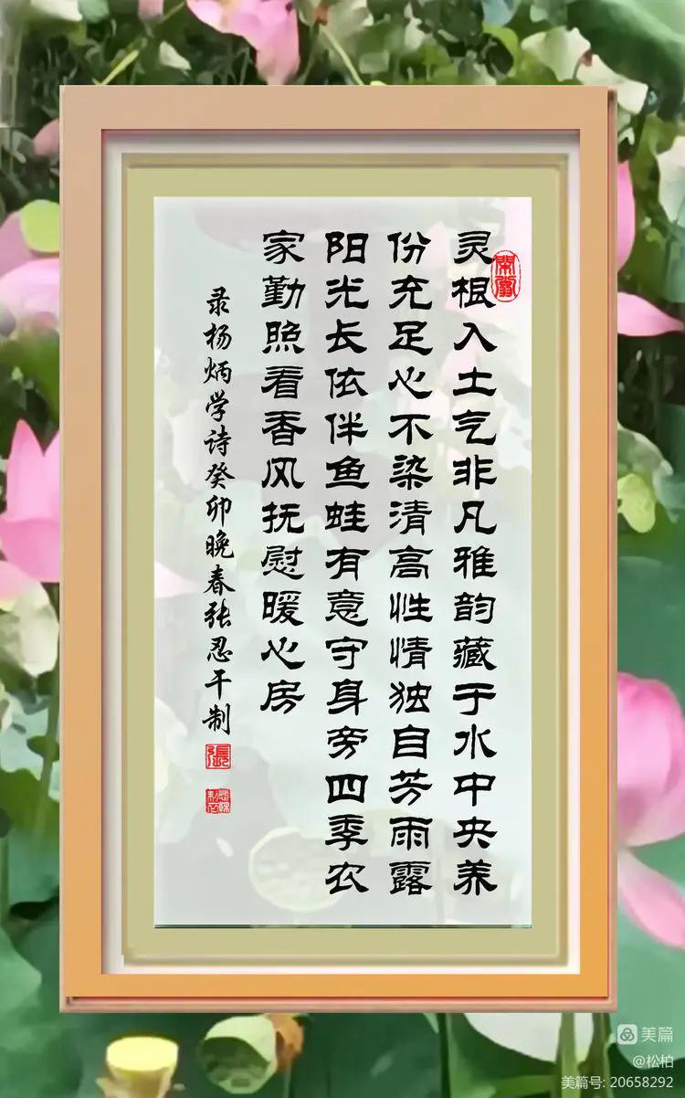 诗图战友情（九十五）荷花别样红