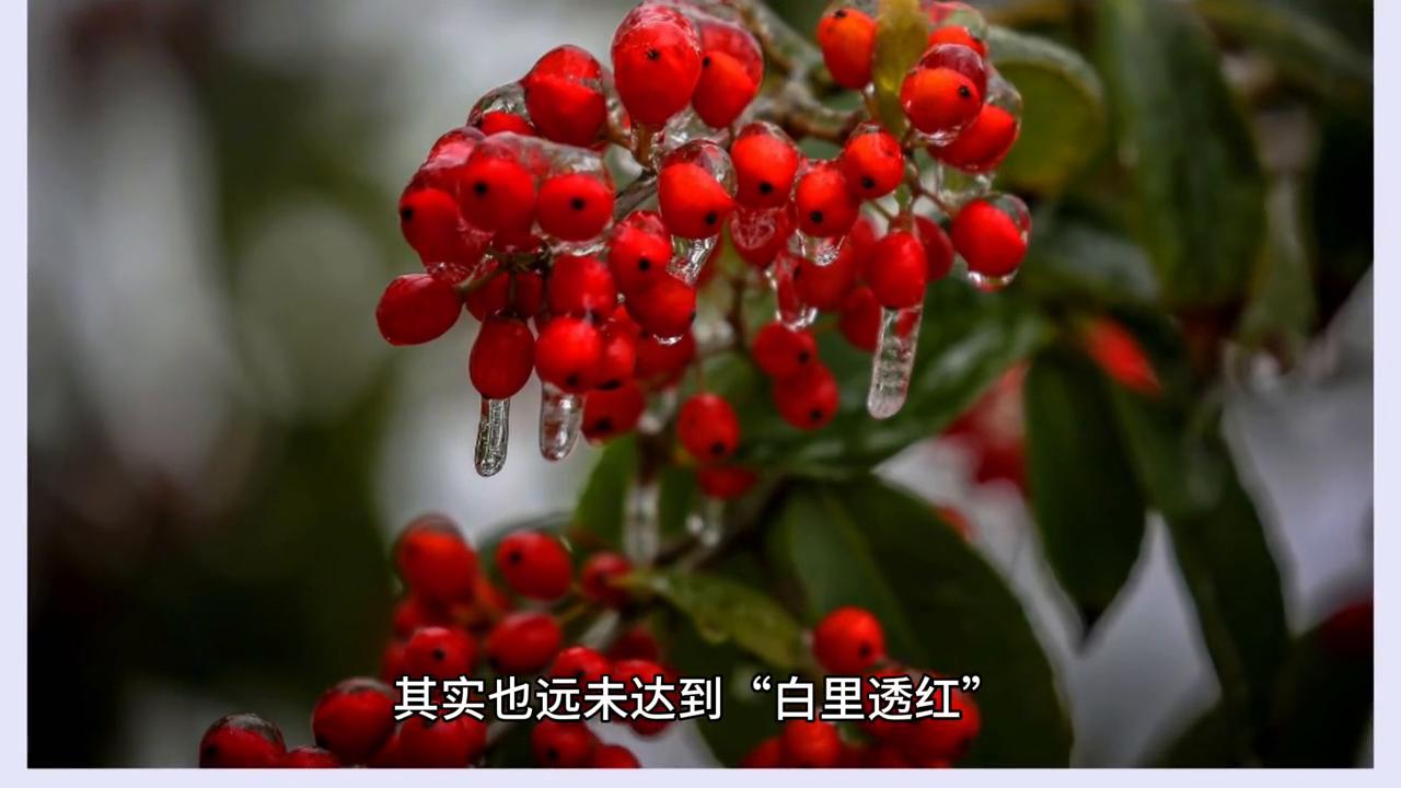 男生脸色发黄毛孔粗大,毛孔粗大皮肤偏黄怎么解决