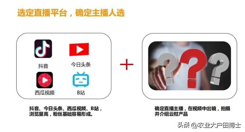 沃柑品牌策划核心竞争力如何提高,沃柑品牌推荐