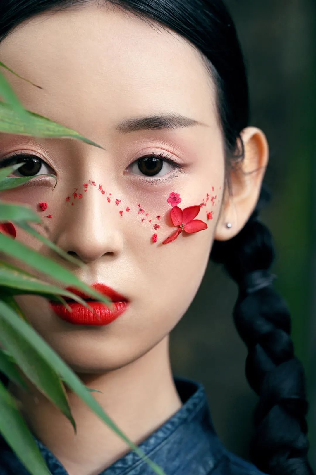 z9对焦测评,z9如何提高预拍的对焦精准