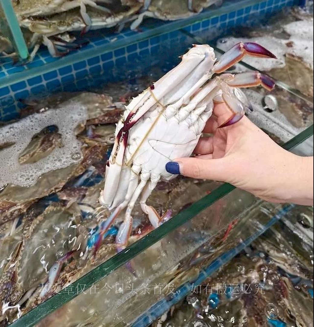 开渔第一天海鲜价格,开渔期第一波满载而归