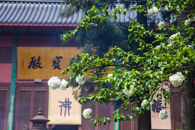 杭州旅游攻略必去景点推荐及路线,杭州旅游攻略自由行必去景点