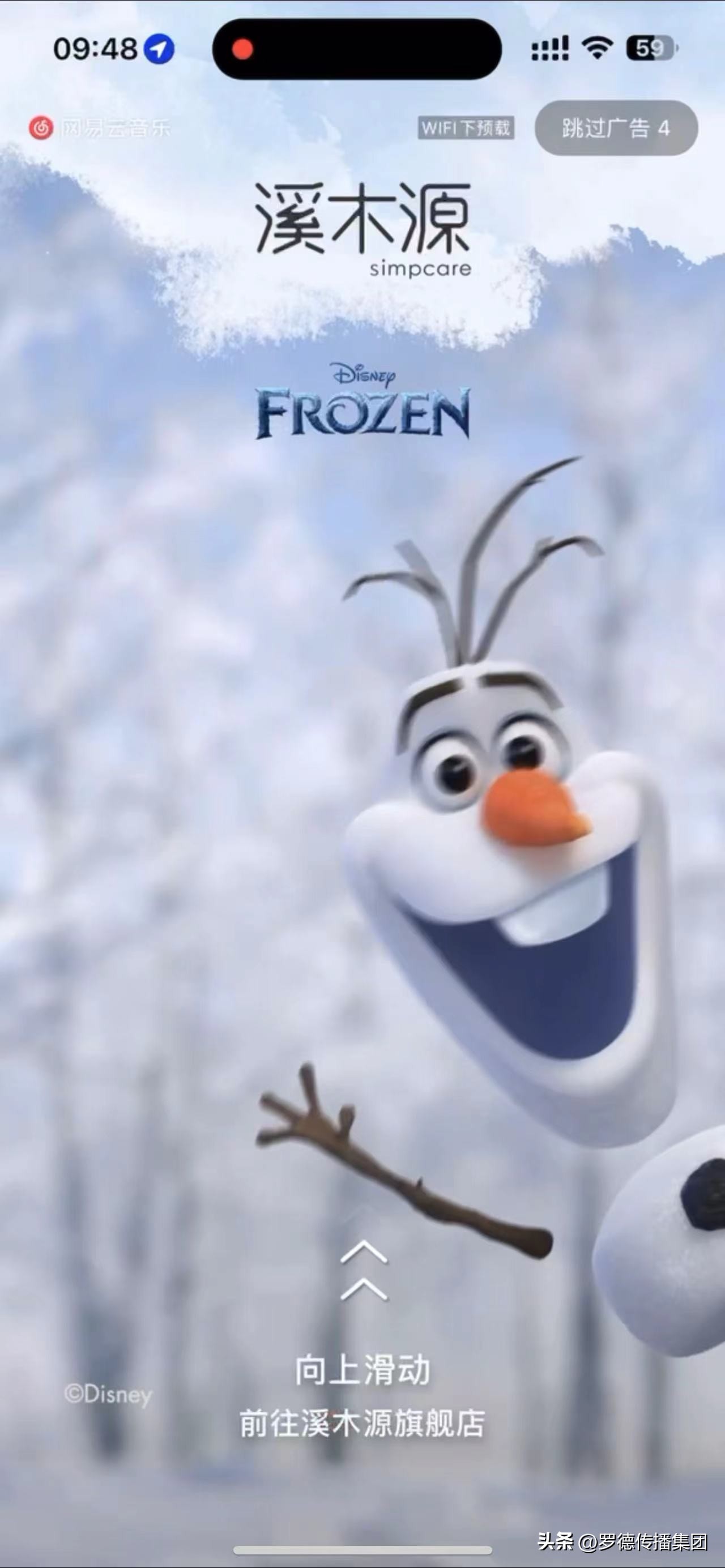 溪木源山茶花迪士尼联名,溪木源迪士尼公主限定礼盒