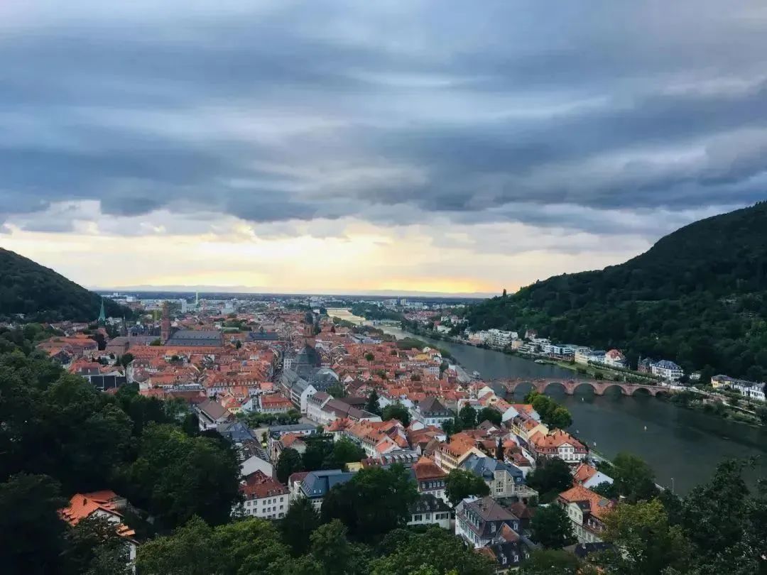 法定代表人变更为什么非要调解,法定代表人如何自行申请变更