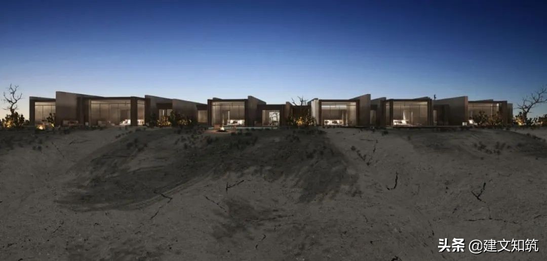 waf2023世锦赛,waf国内排名