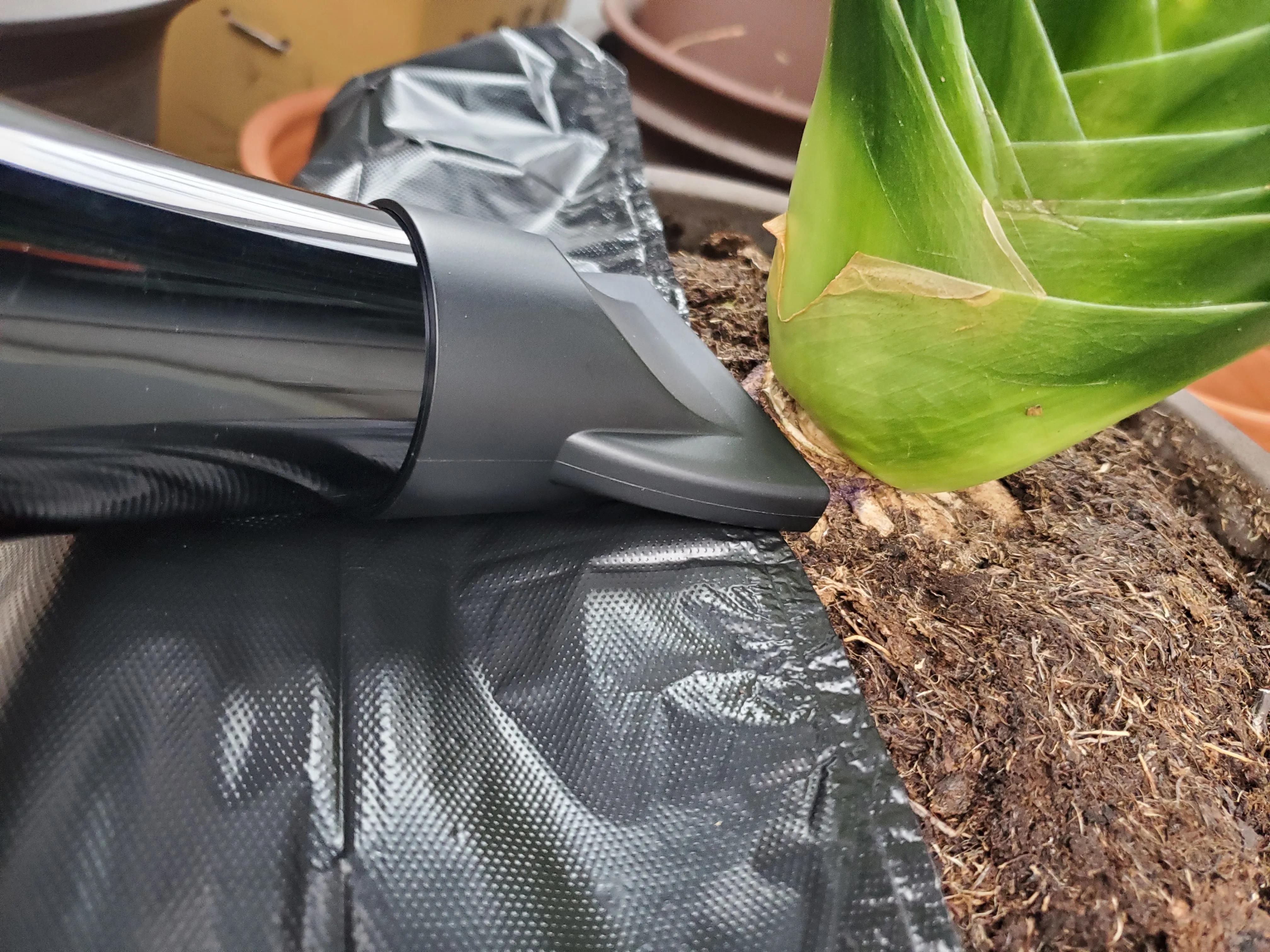 君子兰茎腐病可以用多菌灵吗,君子兰腐叶病怎么处理