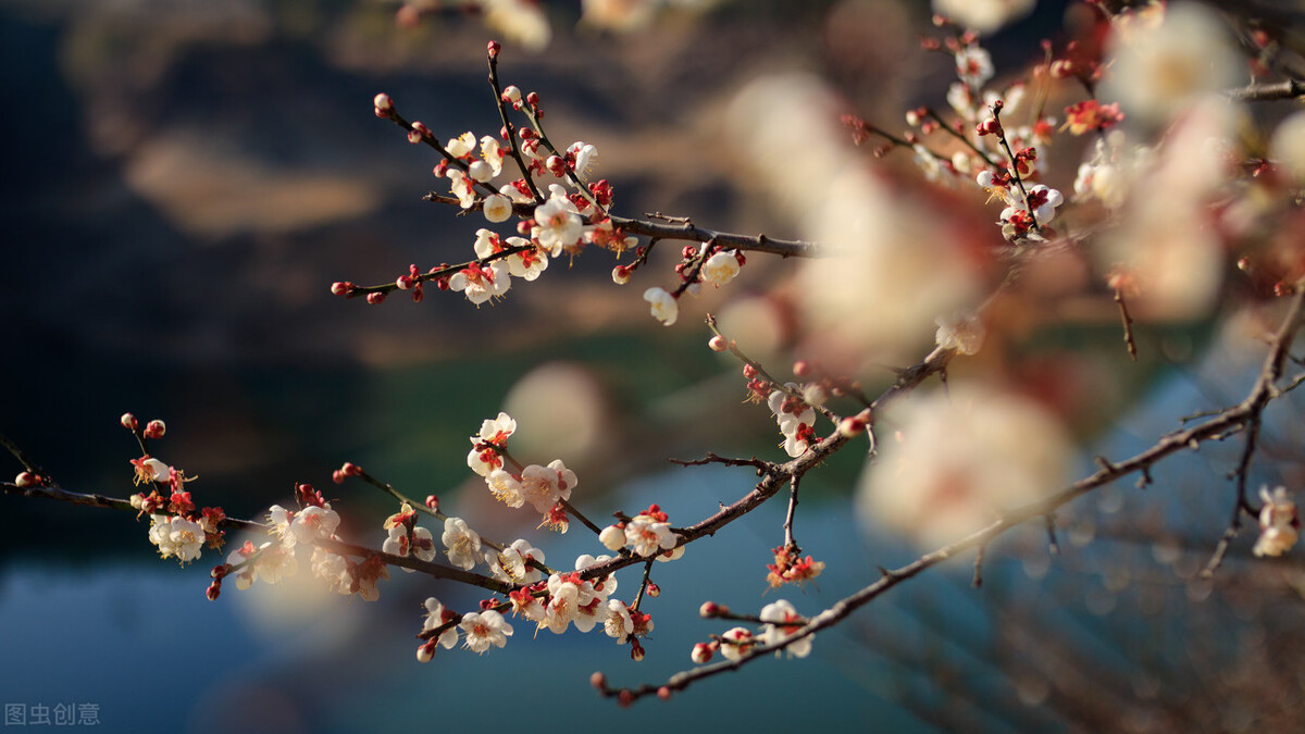 相机光圈怎么调最合适,拍细节图怎么调节光圈