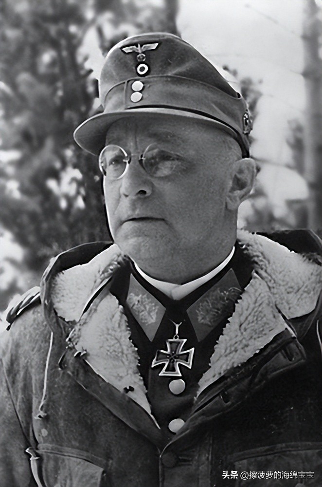 霍尔姆盾章二战德国,二战德国军奖章