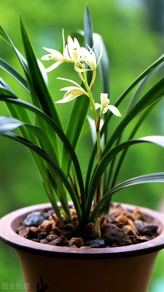 打卡抄书的意义,打卡抄书活动