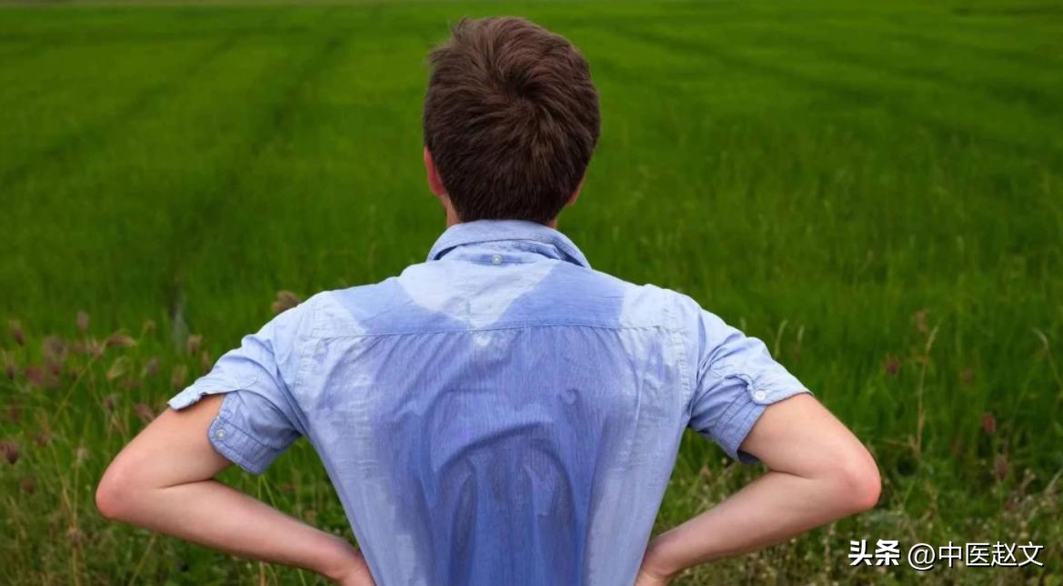 脾虚头汗湿热教你一招正确止汗,脾虚气阴两虚的自汗盗汗