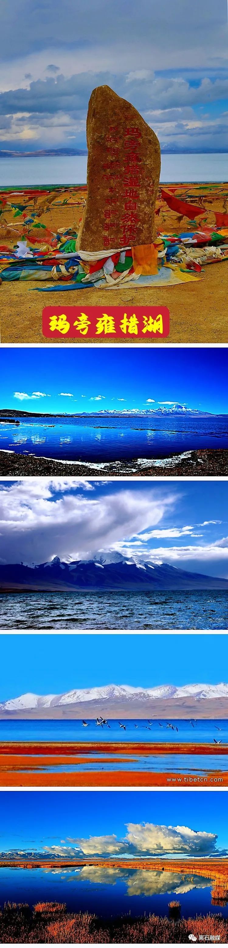 我们的旅行西藏之旅,我的西藏游记全部