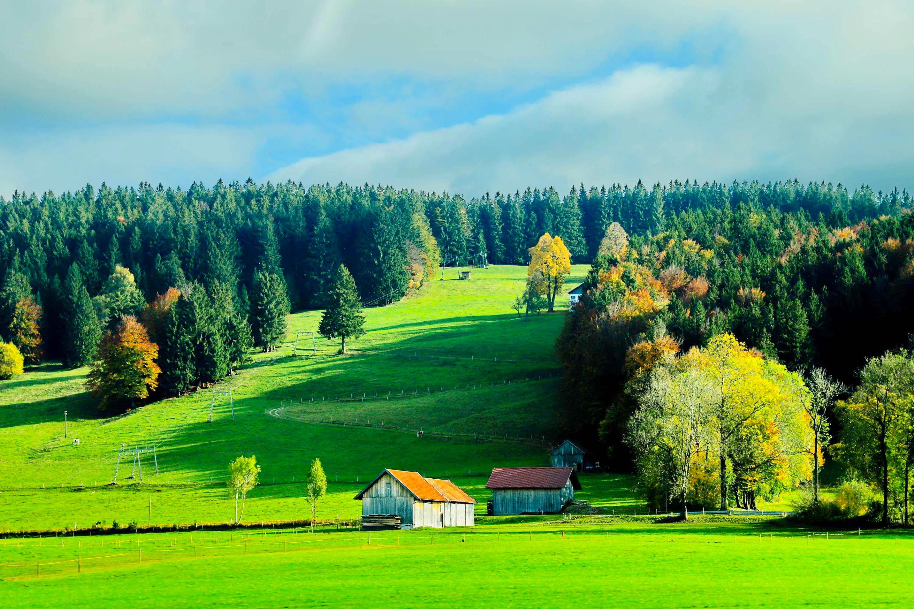 人生难得静心,人生难得清净心