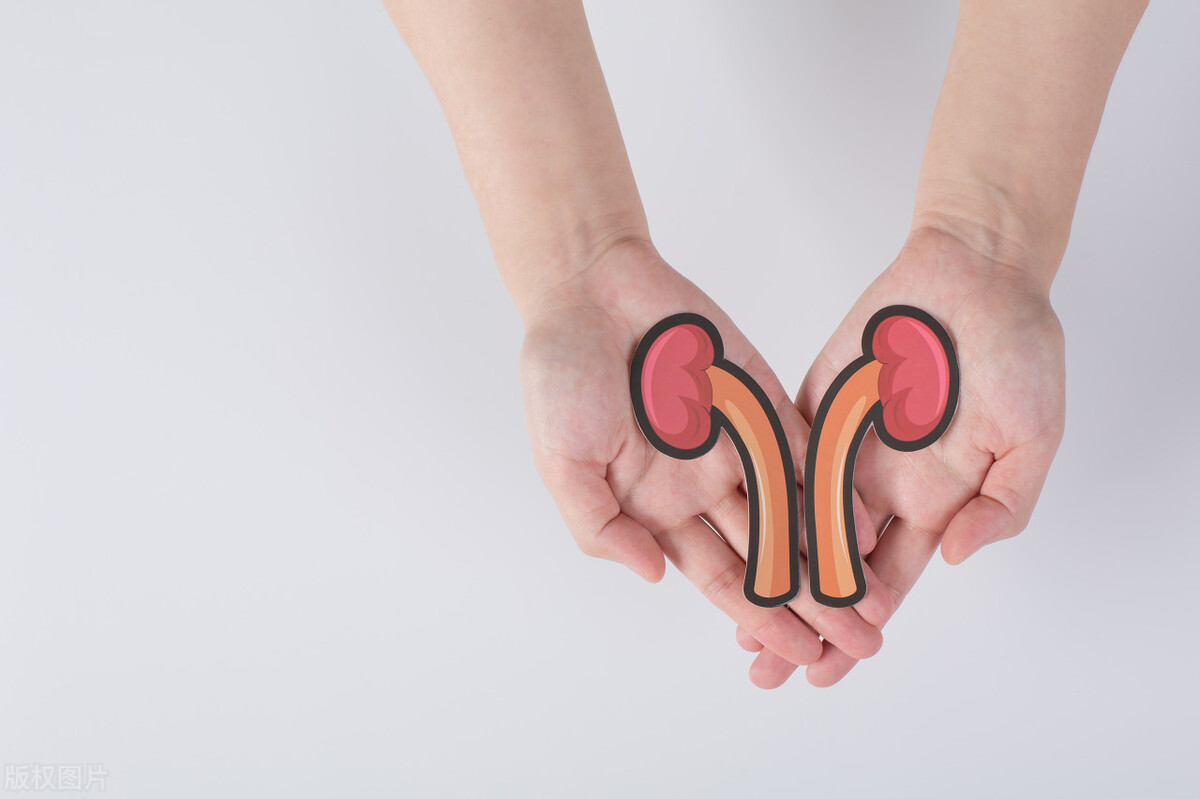 肌酐多高才能引起肾衰,肌酐高会导致肾衰吗