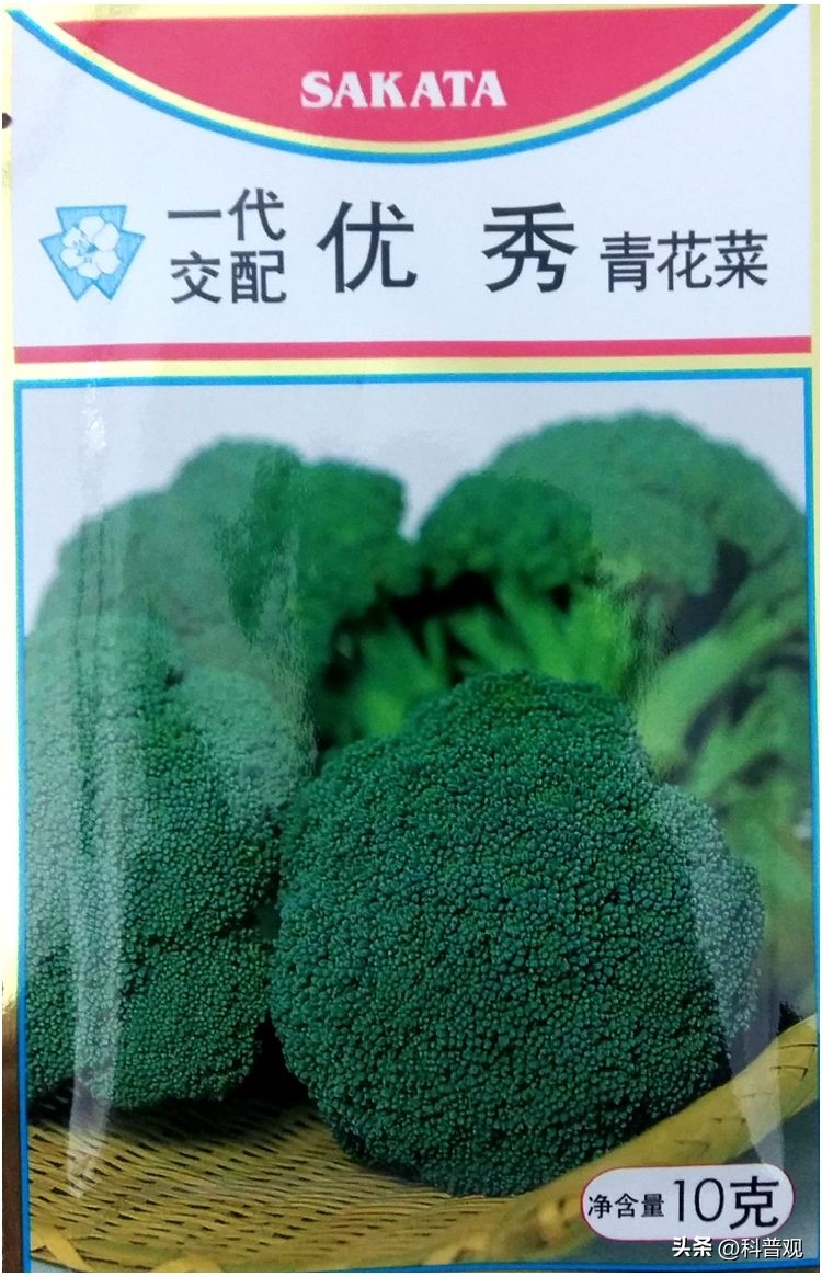 日本垄断中国市场百分之多少,打破西兰花种子垄断的原因