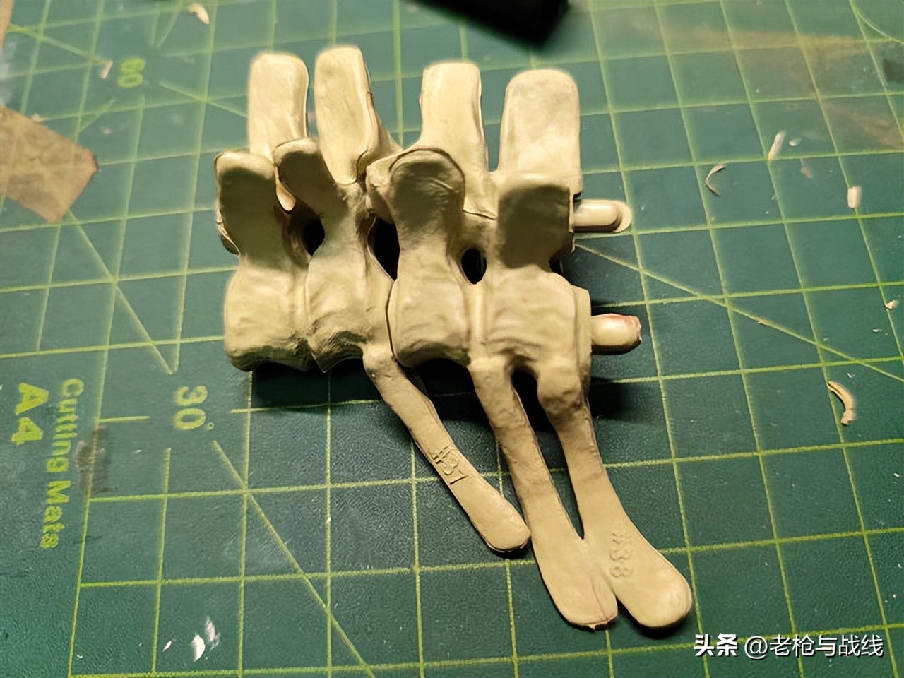 如何制作霸王龙骨架,用硬纸板做霸王龙骨架教程