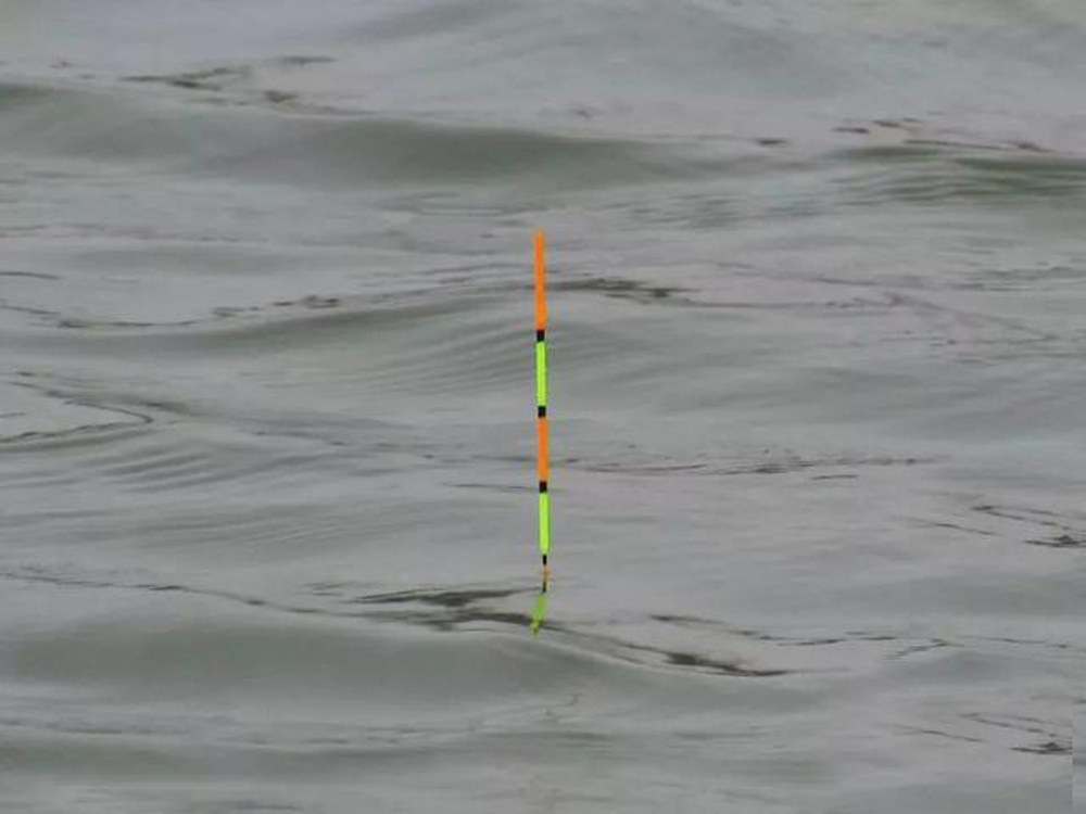 野钓新手入门钓具指南,新手渔具避坑指南