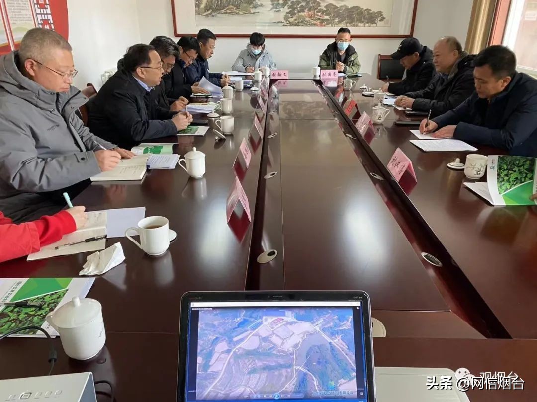 烟台农科院苹果苗品种,山东烟台苹果苗新品种