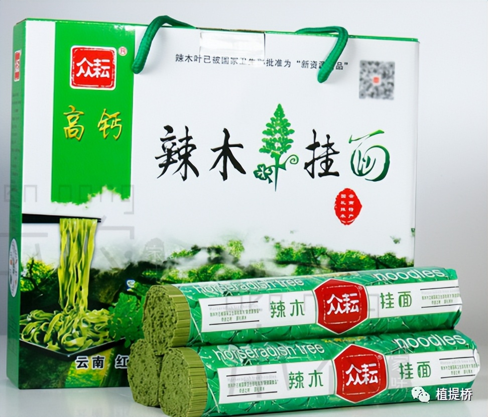 每1周原料：红极一时的辣木，为何现在“默默无闻”？