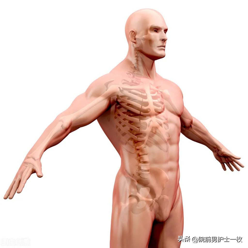 低钾性周期性麻痹怎么补钾,低钾老人吃哪些食物可以补钾啊